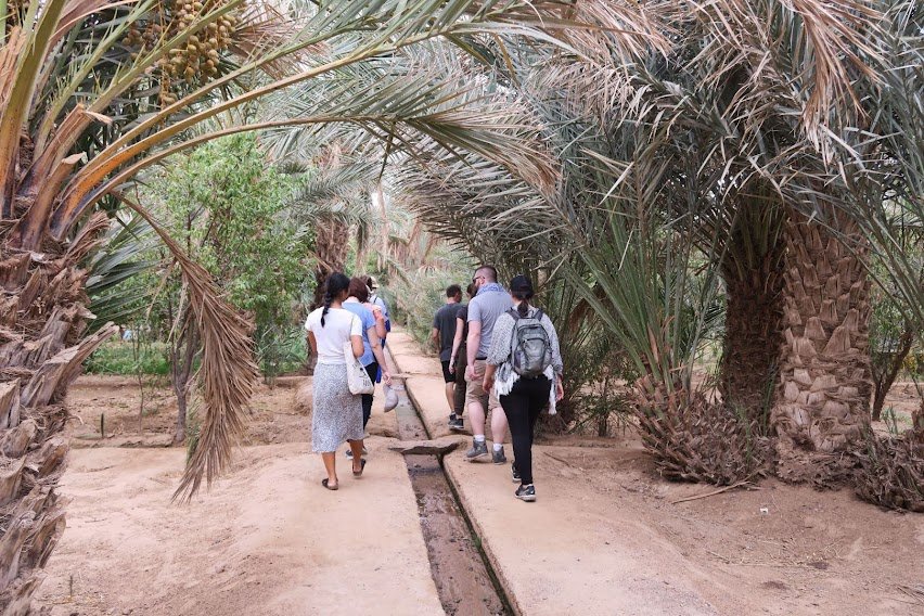 merzouga-desert-oasis